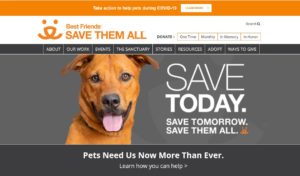 Best Friends Animal Shelter