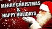 Merry Christmas &amp; Happy Holidays